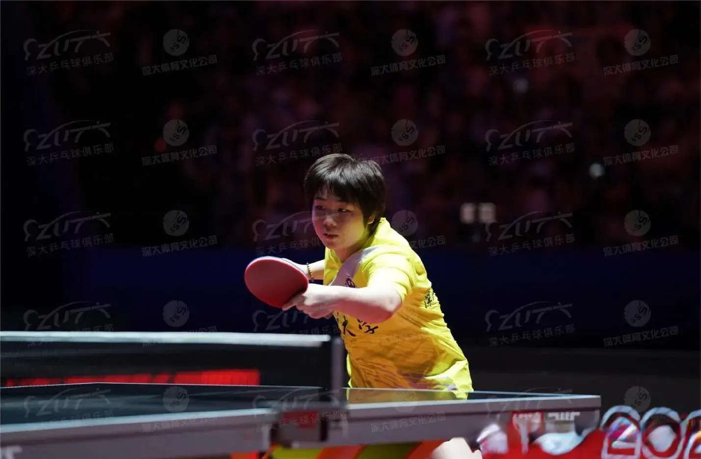 战双打是因, 在WTT赛